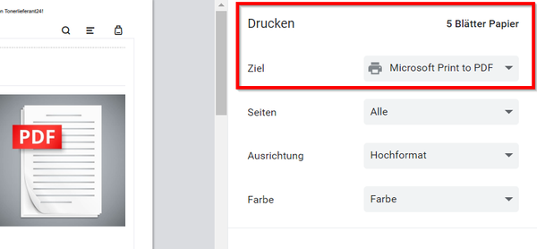 PDF-drucken-anleitung-Druckerauswahl-windows10-screenshot