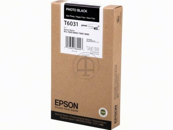 Original Epson C13T603100 / T6031 Tinte Black