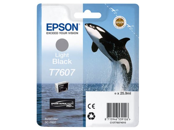 Original Epson C13T76074010 / T7607 Tinte Grey