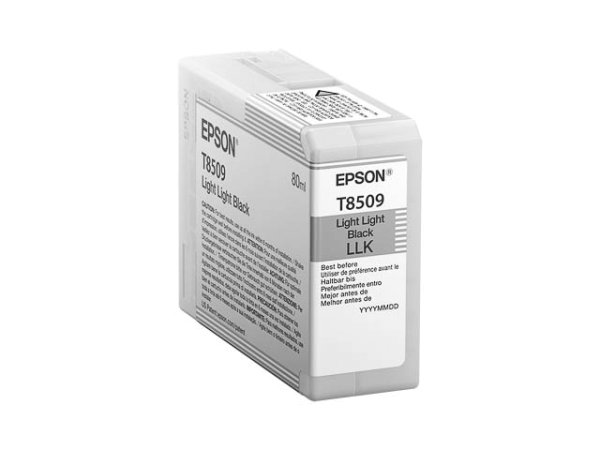 Original Epson C13T850900 Tinte Black (Light-Light)